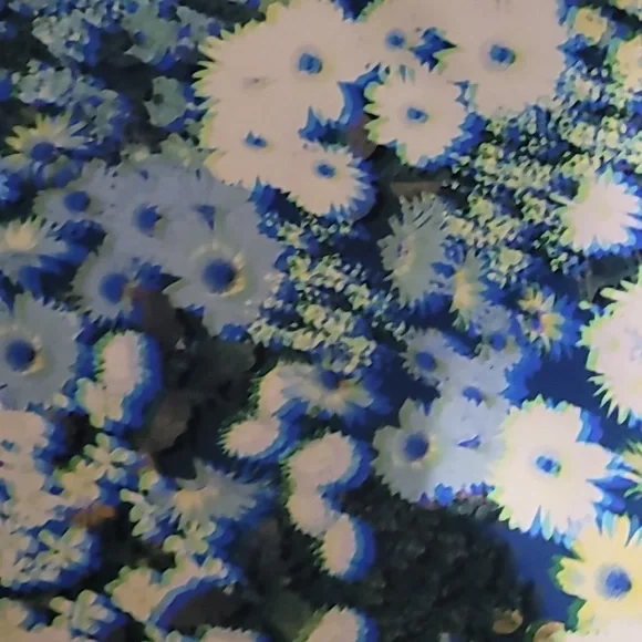 NWT Aerie 3D Offline Floral Sports Bra Size XL - Picture 3 of 5